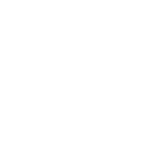 Icône