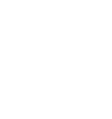 Icône