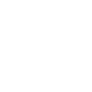Icône